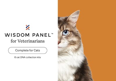 Wisdom panel breed outlet list